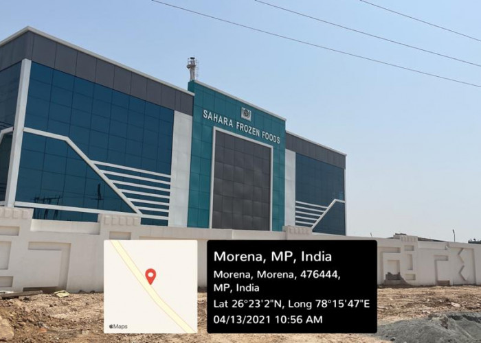 SAHARA FROZEN FOODS COLD STORAGE